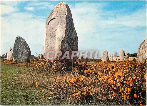 Moderne Karte Couleurs de Bretagne Menhirs dans le Lande Fleurie