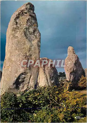 Cartes postales moderne Carnac (Morbihan) Les Alignements de Kermario