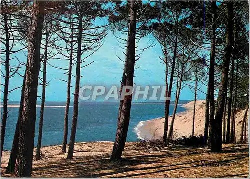 Cartes postales moderne Visage des Landes Bord de Mer