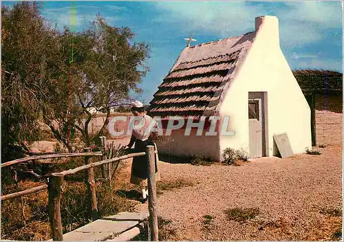 Cartes postales moderne En Camargue (Bouches du Rhone) Mireille et Cabane de Gardians a Cacharel