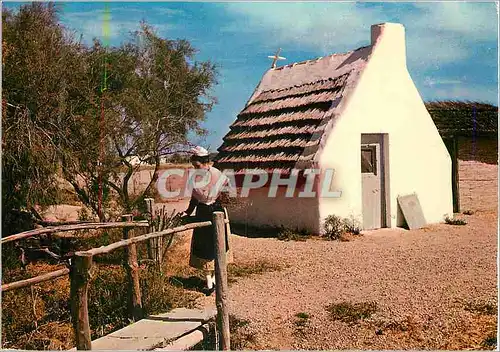 Moderne Karte En Camargue (Bouches du Rhone) Mireille et Cabane de Gardians a Cacharel