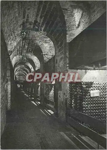Cartes postales moderne Moet et Chandon Maison Fondee en 1743 Epernay Vue des 32 Caveaux Champagne