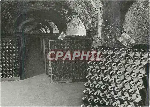 Cartes postales moderne Moet et Chandon Maison Fondee en 1743 Epernay Galerie de Vins Pupitres Durant Le Remuage Champag