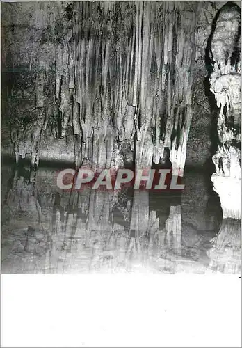 Cartes postales moderne Grottes Espagne