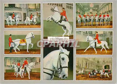 Moderne Karte Vienne Ecole de l'Equitation Espagnole Chevaux Hippisme