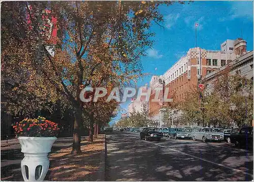 Moderne Karte Midosuji Street With Gingko Trees Osaka