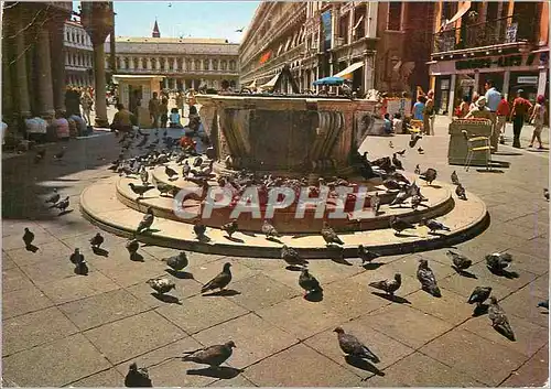 Cartes postales moderne Venezia Petit Place Pio X et Puits