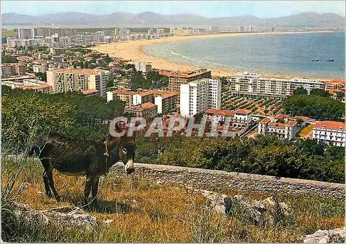 Cartes postales moderne Laredo Zone Residentielle Vue Partielle de la Plage Ane Donkey