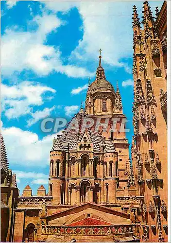 Cartes postales moderne Salamanca La Tour du Coq