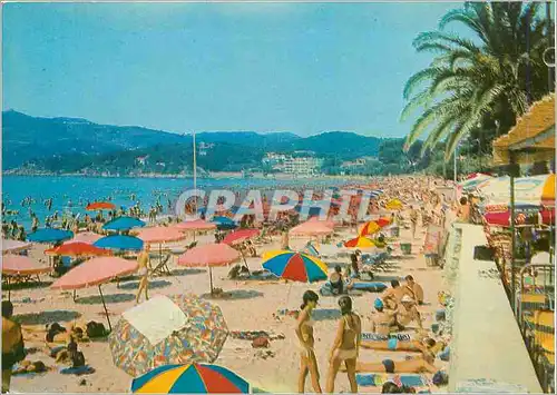 Moderne Karte Charme et Soleil de la Cote d'Azur Les Sablettes La Plage