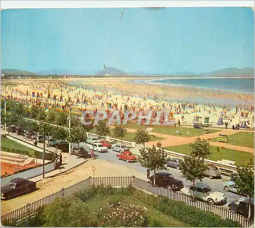 Cartes postales moderne Laredo Gardens and Beach