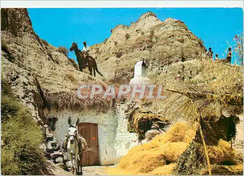 Cartes postales moderne Purullena (Granada) Caves Ane Donkey