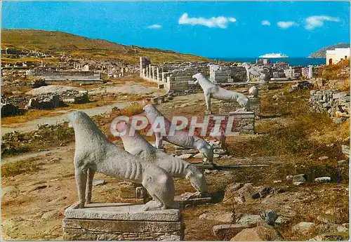 Cartes postales moderne Delos La Terrasse des Lions