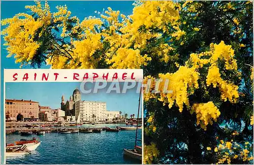 Cartes postales moderne Saint Raphael (Var) La Cote d'Azur French Riviera