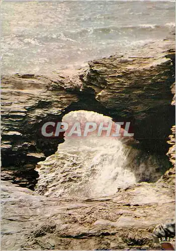 Cartes postales moderne Sion L'Ocean (Vendee) Le Trou du Diable