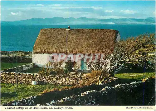 Cartes postales moderne Galway Ireland Thatched Cottage on The Aram Islands Co
