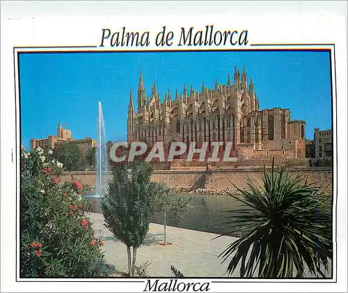 Moderne Karte Palma de Mallorca Parque del Mar Catedarl y Palacio de la ALmudaina