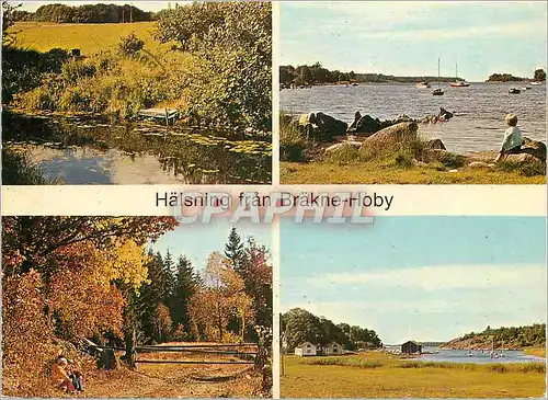 Cartes postales moderne Halsning fran Brakne Hoby