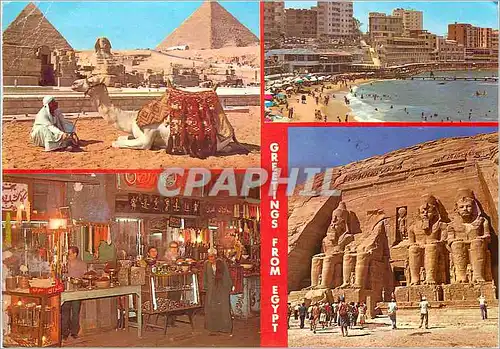 Cartes postales moderne Greetings From Egypt The Pyramids of Giza Stanly Beach Cairo Abu Simbel Rock Temple of Ramses II