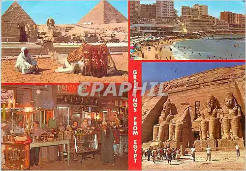 Moderne Karte Greetings From Egypt The Pyramids of Giza Stanly Beach Cairo Abu Simbel Rock Temple of Ramses II