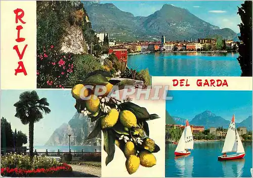 Cartes postales moderne Riva Del Garda