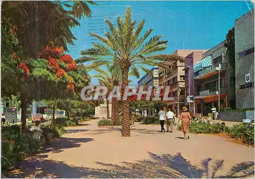 Cartes postales moderne Tel Aviv Rothschild Boulevard