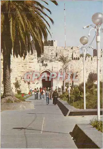 Cartes postales moderne Jerusalem Jaffa Gate