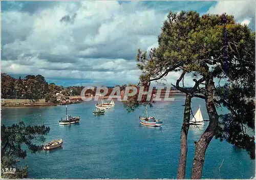 Cartes postales moderne Le Golfe du Morbihan