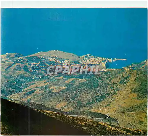 Cartes postales moderne Collioure (P O) vue Panoramique