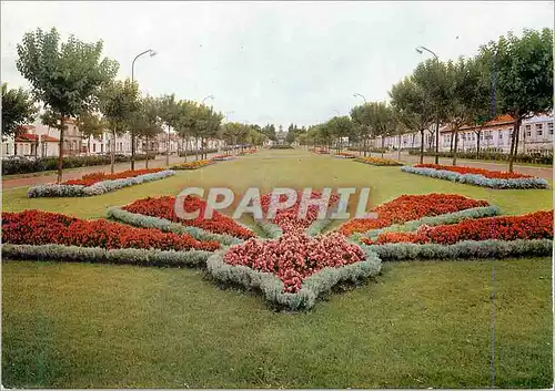 Cartes postales moderne Rochefort Cours d'Ablois