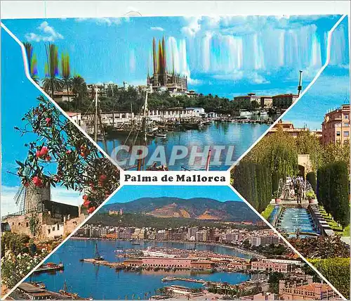 Cartes postales moderne Palma de Mallorca