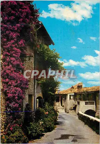 Cartes postales moderne Cote D'Azur Provence Une Vieille Rue Pittoresque et Fleurie