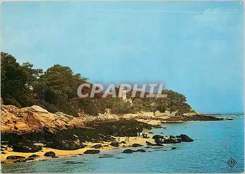 Cartes postales moderne Ile de Noirmoutier Les Rochers et la Tour Plantier