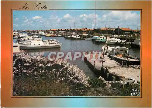 Cartes postales moderne La Teste Le Port Bateaux