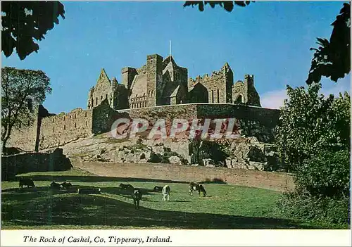 Cartes postales moderne The Rock of Cashel Co Tipperary Ireland