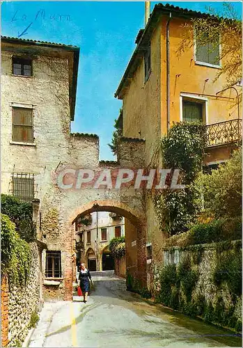 Cartes postales moderne Citta Di Asolo Porte Loreggia