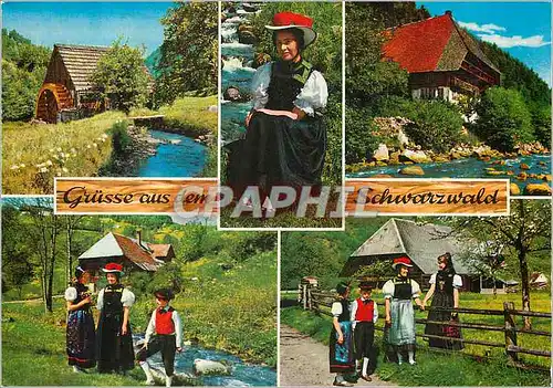 Cartes postales moderne Gruss aus Dem Schwarzwald