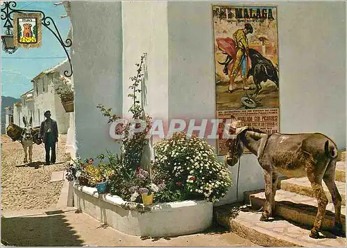 Moderne Karte Costa Del Sol Coin Typique Ane Donkey