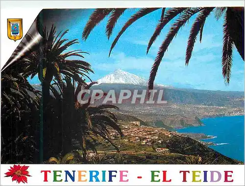 Moderne Karte Tenerife El Teide Cote Nord de L'Ile Avec le Teide (3717 m)