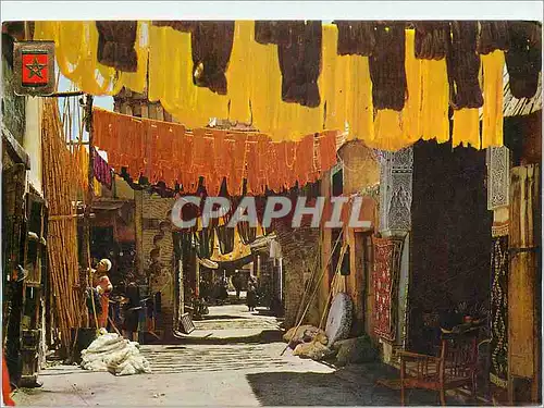 Cartes postales moderne Marrakech Teinturiers