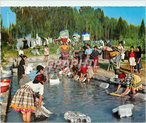 Cartes postales moderne Portugal Turistico Nazare Lavant Le Linge (Coutume Typique) Folklore Ane Donkey