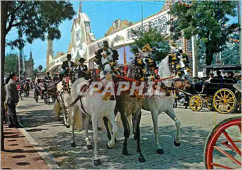 Cartes postales moderne Sevilla Feria de Abril