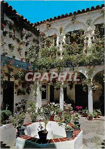 Cartes postales moderne Espana Tipica Typique cour Andalou