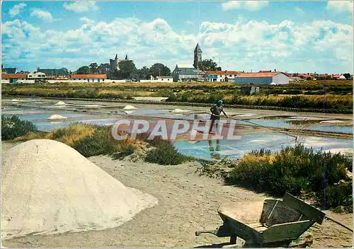 Cartes postales moderne La Vendee Touristique Ile de Noirmoutier Les Marais Salants