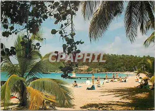 Moderne Karte Guadeloupe Plage de la Caravelle