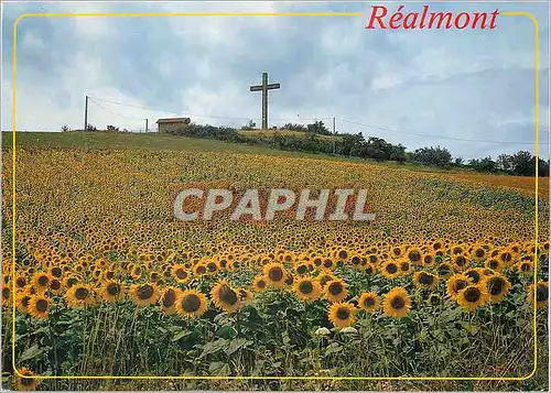 Cartes postales moderne Realmont (Tarn) La Croix du Caylou
