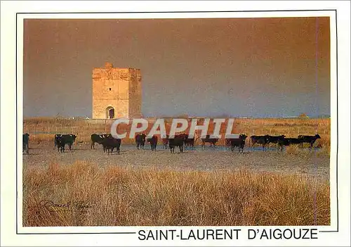 Cartes postales moderne Saint Laurent D'Aigouze La Tour Carbonniere Ancien Poste de Veille Taureaux