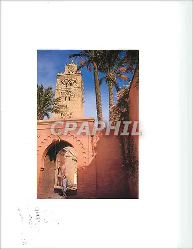 Cartes postales moderne Maroc