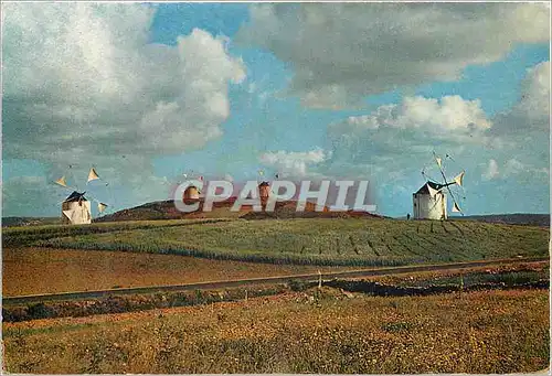 Cartes postales moderne Portugal Moinhos de Vento Windmills