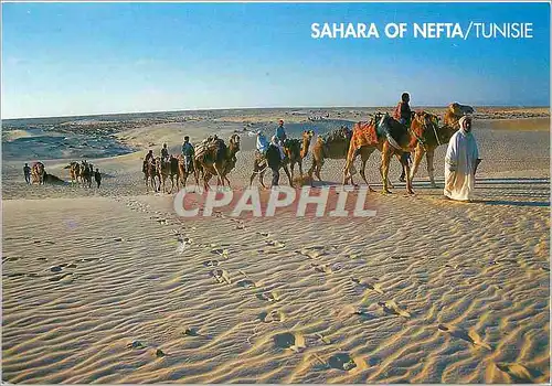 Moderne Karte Sahara of Nefta Tunisie
